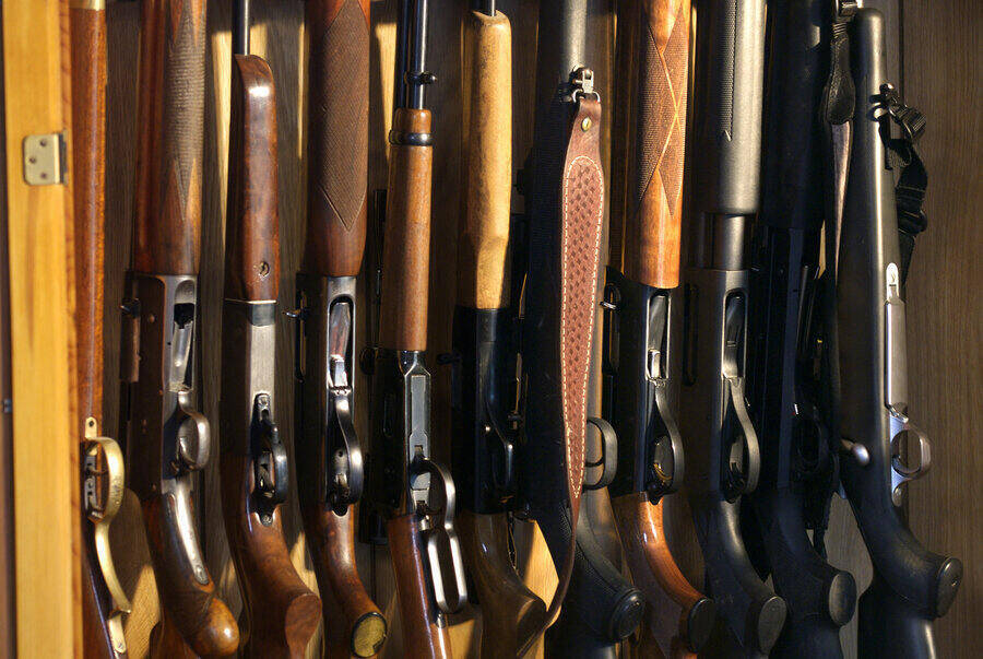 Regeringen öppnar för fler vapen i garderoben