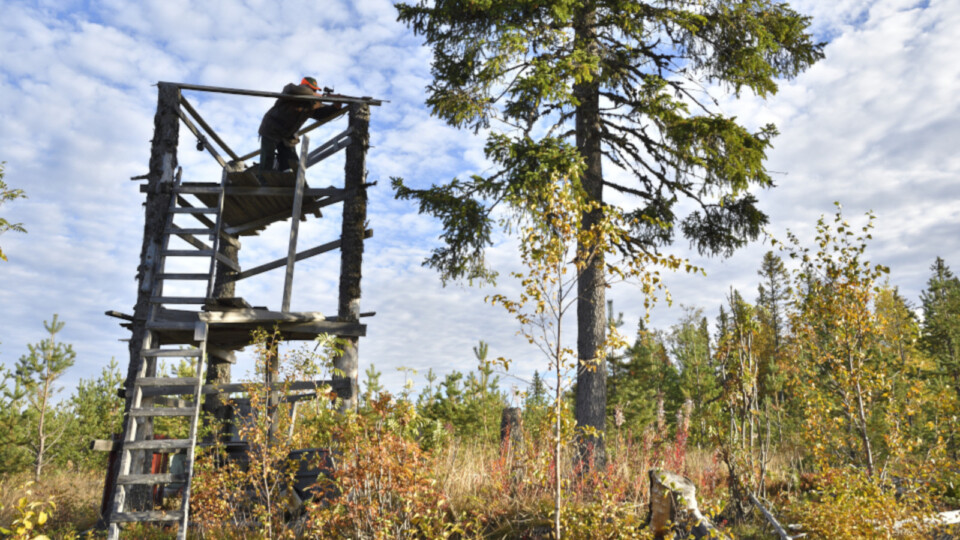 Intresset för jaktturism ökar i Finland